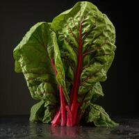A bunch of Swiss chard leaves with water droplets on them photo