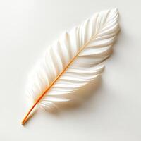 A beautifully detailed close-up of a white feather with an orange stem, showcasing its delicate structure and texture against a minimalistic background. Perfect for nature lovers. photo