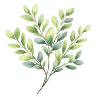 A beautiful watercolor illustration of vibrant green leaves, showcasing various shades and textures. Perfect for design projects, nature themes, or botanical studies. photo