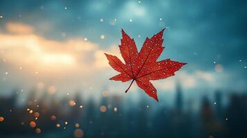 Single Red Maple Leaf Falling Autumn Sky photo