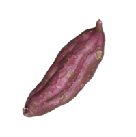 harvested of sweet potato isolated element png