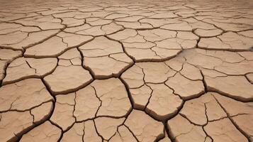 A sharp image of parched ground, displaying intricate cracks and natural formations created by the absence of moisture. photo