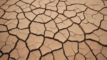 A high-resolution image of dry, cracked earth, emphasizing the fascinating patterns formed by the soils cracks. photo