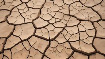 A detailed macro shot of soil cracks, showcasing the delicate and complex patterns that appear as the ground dries. photo