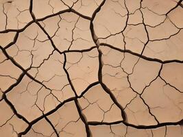 A macro shot of parched soil, showcasing an intricate web of cracks and natural textures. photo