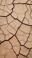 A sharp close-up of arid soil with deep fissures, displaying the natural patterns formed by drought. photo