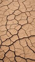 A high-resolution capture of dry, cracked soil, forming unique, detailed patterns across the surface. photo