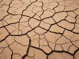 A detailed image of parched soil, showcasing deep cracks and a fascinating organic pattern. photo