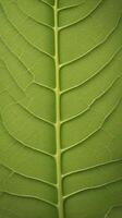 A close-up view of a leaf, focusing on the intricate veins that give it texture and detail. photo