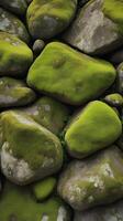 A detailed macro shot of a jagged rock surface covered in moss, highlighting the moist, organic texture. photo