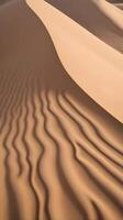 A close-up of sand dune formations, highlighting the elegant curves and the interplay of textures and shadows. photo