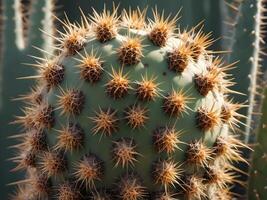 A macro shot of a cactus, focusing on its sharp spines and the fleshy, patterned surface that defines its form. photo