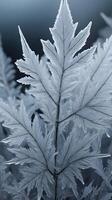 A close-up of frost, showcasing the delicate and intricate ice crystals forming in unique geometric shapes. photo