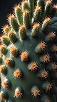 A sharp close-up of a cactus, highlighting its thorny spines and the unique texture of its fleshy surface. photo