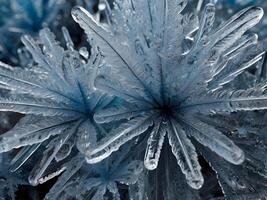 A detailed photograph of frost, showing the complex and beautiful arrangement of ice crystals on a surface. photo