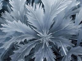 A close-up of frost forming delicate ice crystals, emphasizing their intricate and geometric shapes. photo
