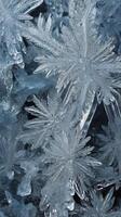 A high-resolution shot of frost patterns, focusing on the fine details of the ice crystals. photo