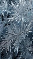 A close-up photograph of frost, revealing the intricate, crystalline patterns forming on the surface. photo