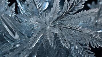 A high-detail image of frost, capturing the stunning formation of ice crystals in intricate, artistic shapes. photo