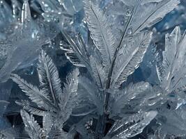 A detailed macro shot of frost forming delicate ice crystals with intricate, unique patterns. photo