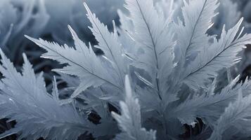 An artistic close-up of frost patterns forming intricate ice crystal shapes. photo