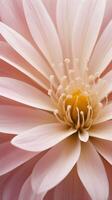 A macro close-up revealing the plush texture of flower petals with delicate, feathery fibers. photo