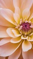 A finely detailed macro photograph of flower petals covered in soft, thread-like structures. photo