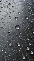 A sharp-focus photograph of condensation beads spreading across a surface in random designs. photo