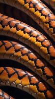 A detailed close-up of a snakes scales, with each overlapping scale reflecting light with a glossy glow. photo