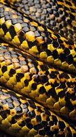 A high-detail image showing the overlapping scales of a snake, each one gleaming with a glossy finish. photo