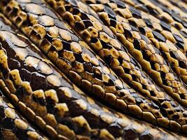 A sharp macro image of a snakes overlapping scales with glossy highlights. photo