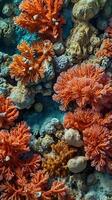 A macro perspective of coral structures with intricate details and bright, natural tones. photo