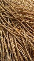A sharp-focus image of interwoven natural straw fibers arranged in a geometric style. photo