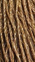 A close-up view of straw fibers tightly woven to create a neat geometric formation. photo