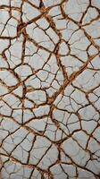 A macro shot of an aged ceramic coating, revealing its delicate, organic cracks. photo