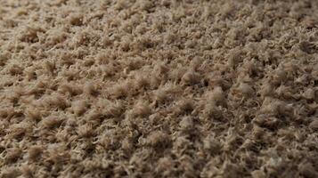 A finely detailed shot of a timeworn carpet with unraveling fabric. photo