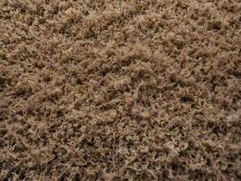 A macro of an old, frayed carpet with soft fabric textures. photo