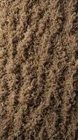 A macro image showcasing the aged, tattered texture of an old carpet. photo