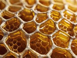A macro view showcasing the golden honeycomb structure packed with fresh honey. photo