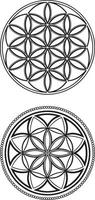 Two oval designs with a flower of life in the center vector