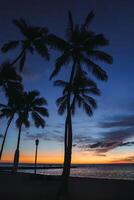 Palm trees stand silhouetted against a vibrant sunset sky over a calm ocean. A streetlamp and a faint pier add subtle details to the serene Hawaiian scene. photo