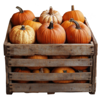 A crate full of pumpkins png