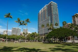 A green park with tall palm trees in the foreground, modern high rise buildings in the background, and a clear blue sky in Honolulu, Hawaii. photo
