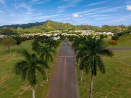 A serene road with tall palm trees leads to a cemetery surrounded by lush greenery, with a residential area and verdant hills in the background. photo