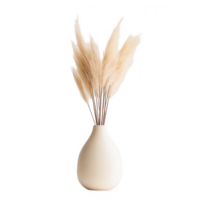 A white vase with some brown flowers in it png