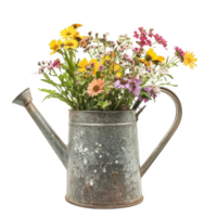 A watering can with flowers in it png