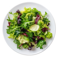 A plate of green salad with lettuce, cucumber and red onion png