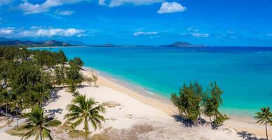 Aerial view of a white sand beach on Oahu island, Hawaii, bordered by palm trees and turquoise waters, with hills and a small offshore island visible. photo