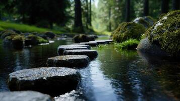 A serene stream flows gently through a vibrant green forest, with smooth stones creating a pathway across the water. Sunlight filters through the trees, casting soft shadows photo