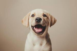 A happy dog with its mouth open and tongue hanging out photo